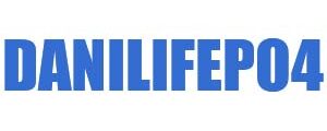 LiFePowerDS